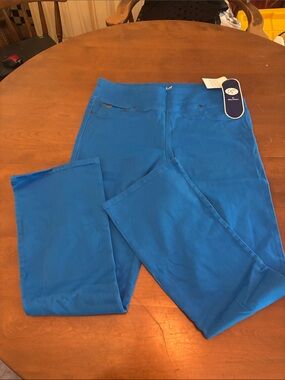 DG2 by Diane Gilman Electric Blue Pull-On Pants Size L